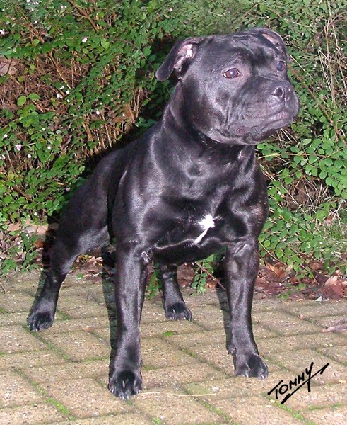 large